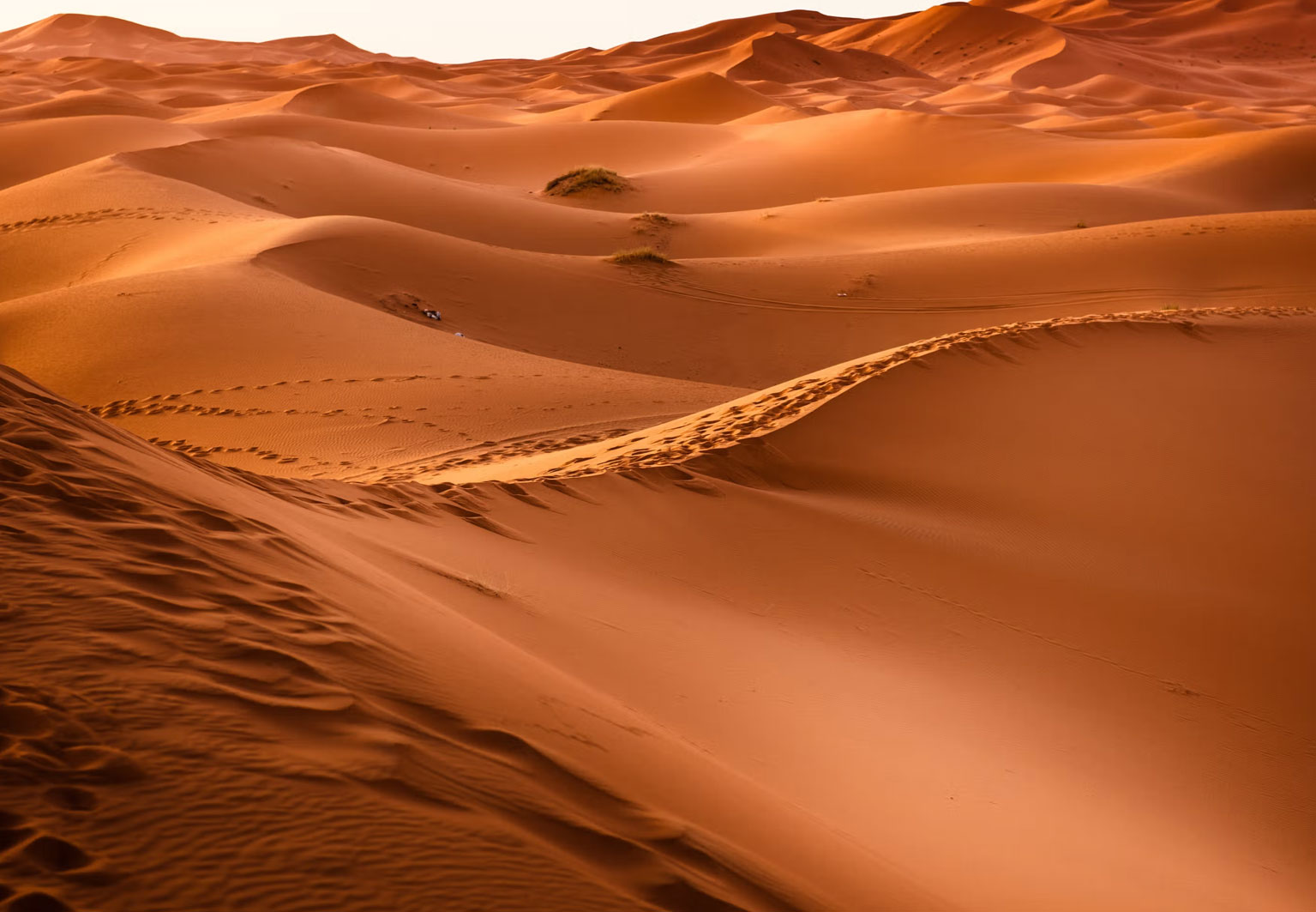 Marocco